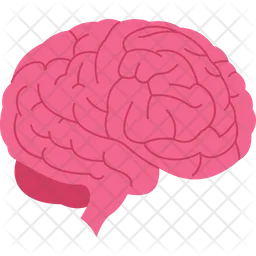 Brain  Icon