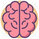 Brain Human Brain Human Organ Icon
