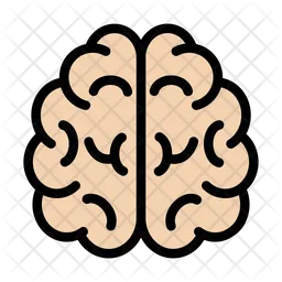 Brain  Icon