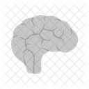 Brain Mind Human Icon