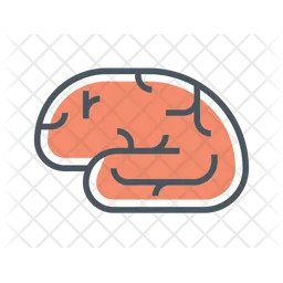 Brain  Icon