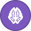 Brain Healthcare Human Icon