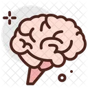 Brain Human Brain Mind Icon