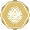 Brain Medical Healthcare Icon