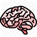 Brain Mind Organ Symbol