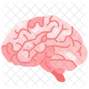 Brain Mind Organ Icon