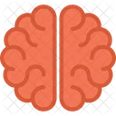 Brain Anatomy Idea Icon