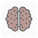 Brain Thinking Idea Icon