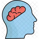 Brain Head Human Brain Icon