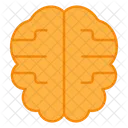 Brain Human Brain Human Processor Icon