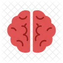 Brain  Icon
