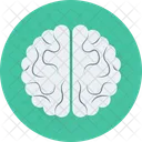 Brain Organ Intelligence Icon