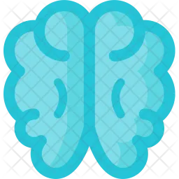 Brain  Icon