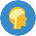 Brain Cranium Human Icon