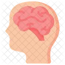 Brain System Anatomy Icon