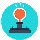 Brain Brainstorm Bulb Icon