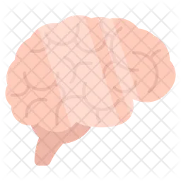 Brain  Icon