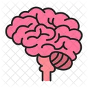Brain Anatomy Human Body Icon