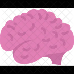 Brain  Icon