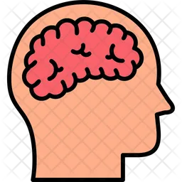 Brain  Icon