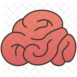 Brain  Icon