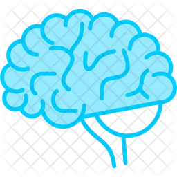 Brain  Icon