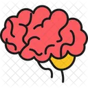 Brain Human Brain Mind Icon