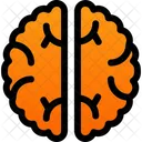 Brain Brainstorm Medicine Icon