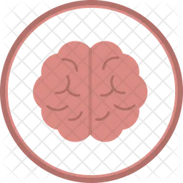 Brain  Icon