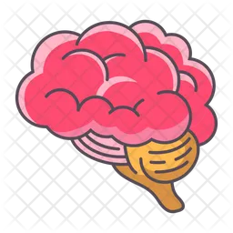 Brain  Icon