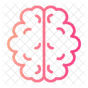 Brain Human Brain Body Organ Icon