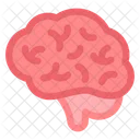 Brain Brainstorming Human Icon