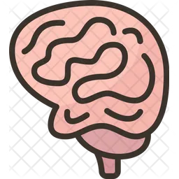 Brain  Icon