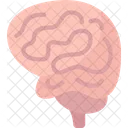 Brain Neurology Head Icon