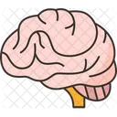 Brain Human Neurology Icon