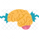 Brain Function Anatomy Icon