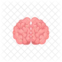 Brain Human Learning Icon