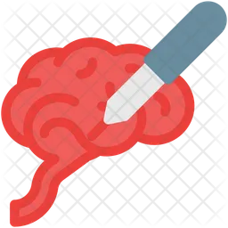 Brain  Icon