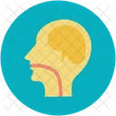 Brain Activity Human Icon