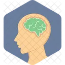 Brain Human Brain Human Icon