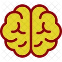 Brain Education Human Head Icon