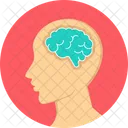 Brain Human Brain Human Icon