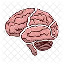 Brain Mind Idea Icon