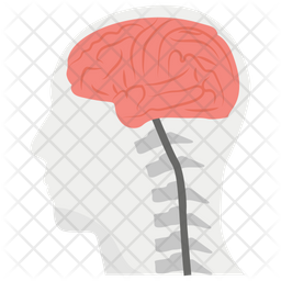 Brain Anatomy Icon Of Flat Style Available In Svg Png Eps Ai Icon Fonts