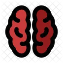 Brain anatomy  Icon