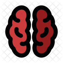 Brain anatomy  Icon