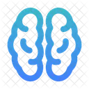 Brain anatomy  Icon