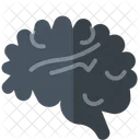 Brain Anatomy Neurological  Icon