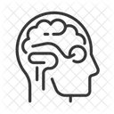 Brain and eye  Icône