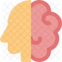 Brain And Head Brain Mind Icon